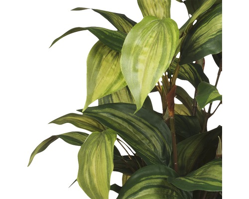 Kunstplant Hosta Ø 40 H 65 cm groen