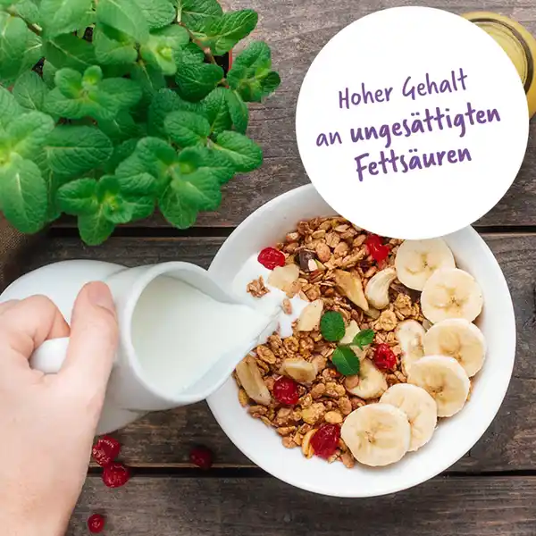 Cashew Kerne Natur