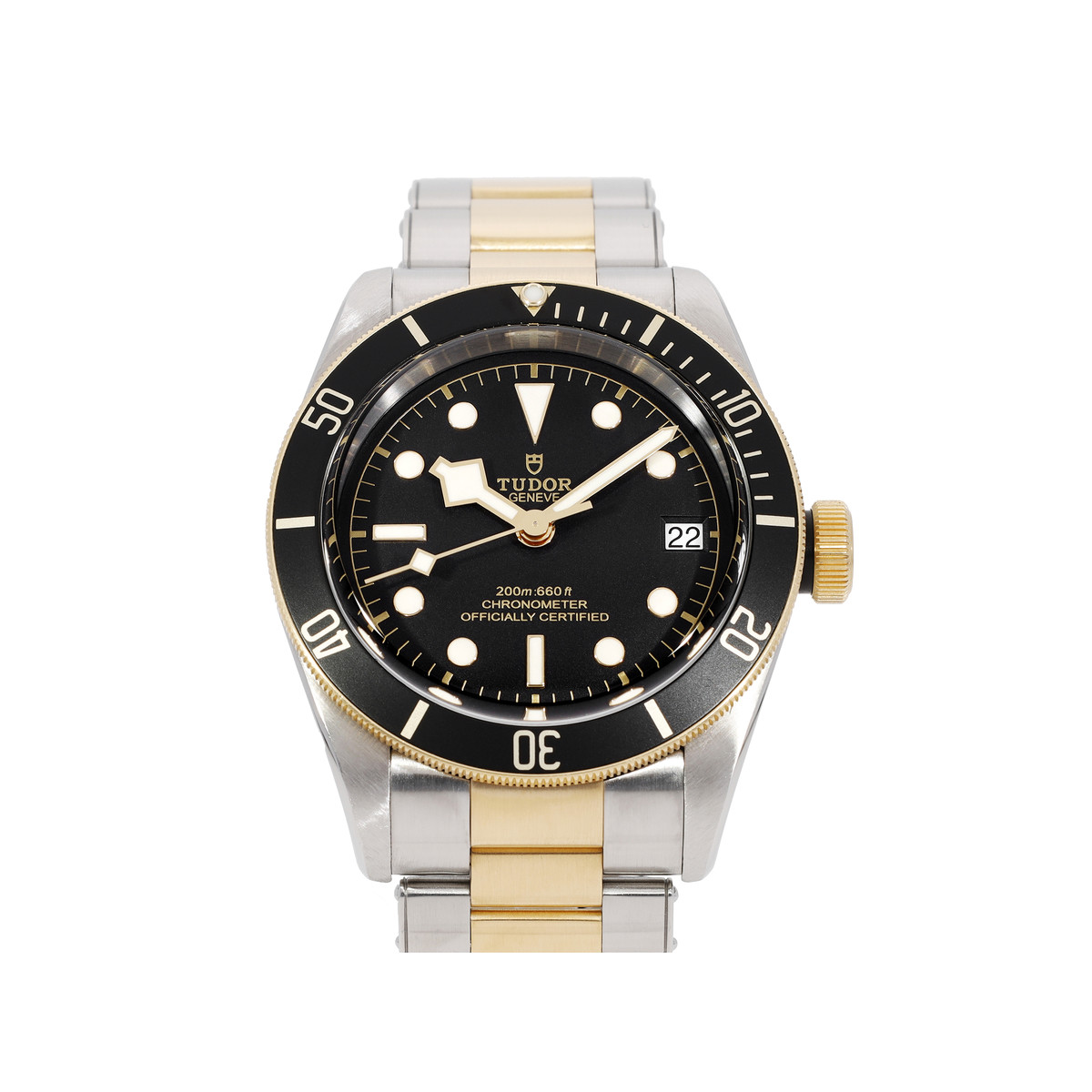 Montre d'occasion TUDOR black bay homme automatique