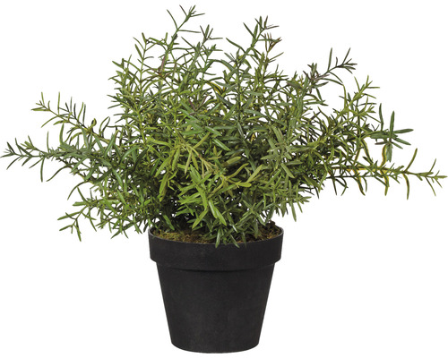 Kunstrozemarijnplant in kunststof pot, Ø 14 cm, hoogte 30 cm, groen