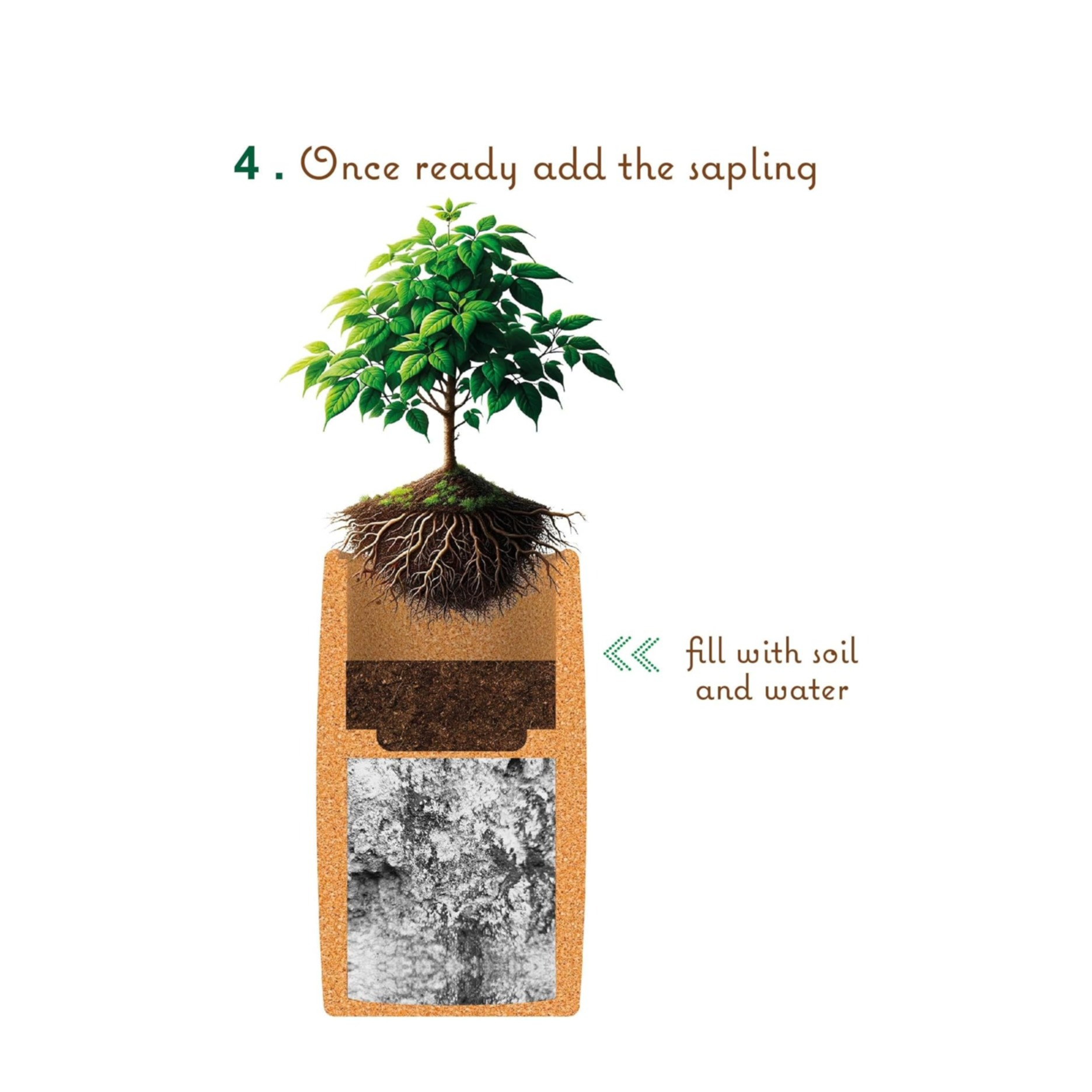 (Gr. M) 60x40cm Biologisch Abbaubare Korkurne Haustier Gedenkstätte Baum Urne (40000) - Braun