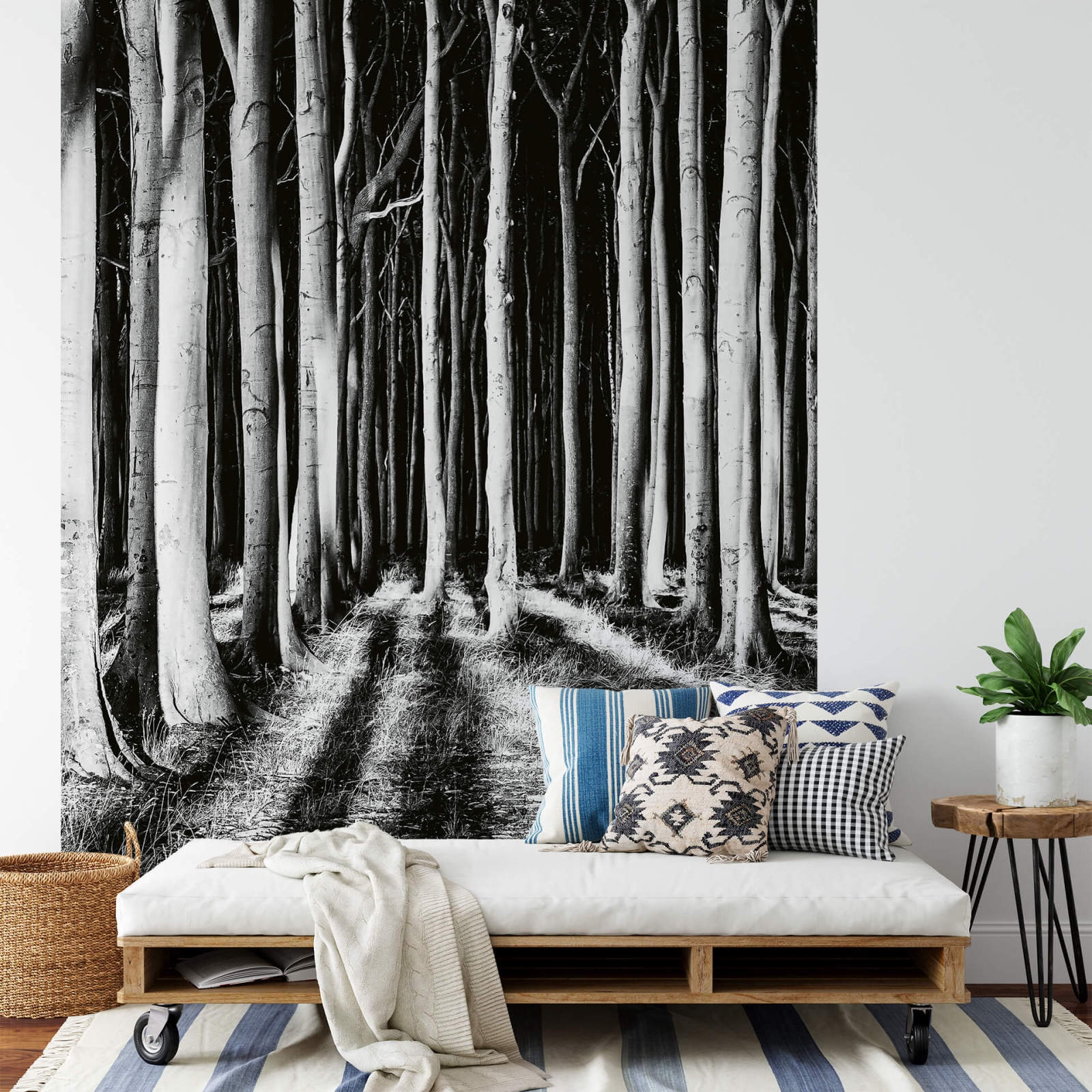 Fototapete DESIGNWALLS 2.0 - schwarz-weiß - Wald - 2,6 Meter