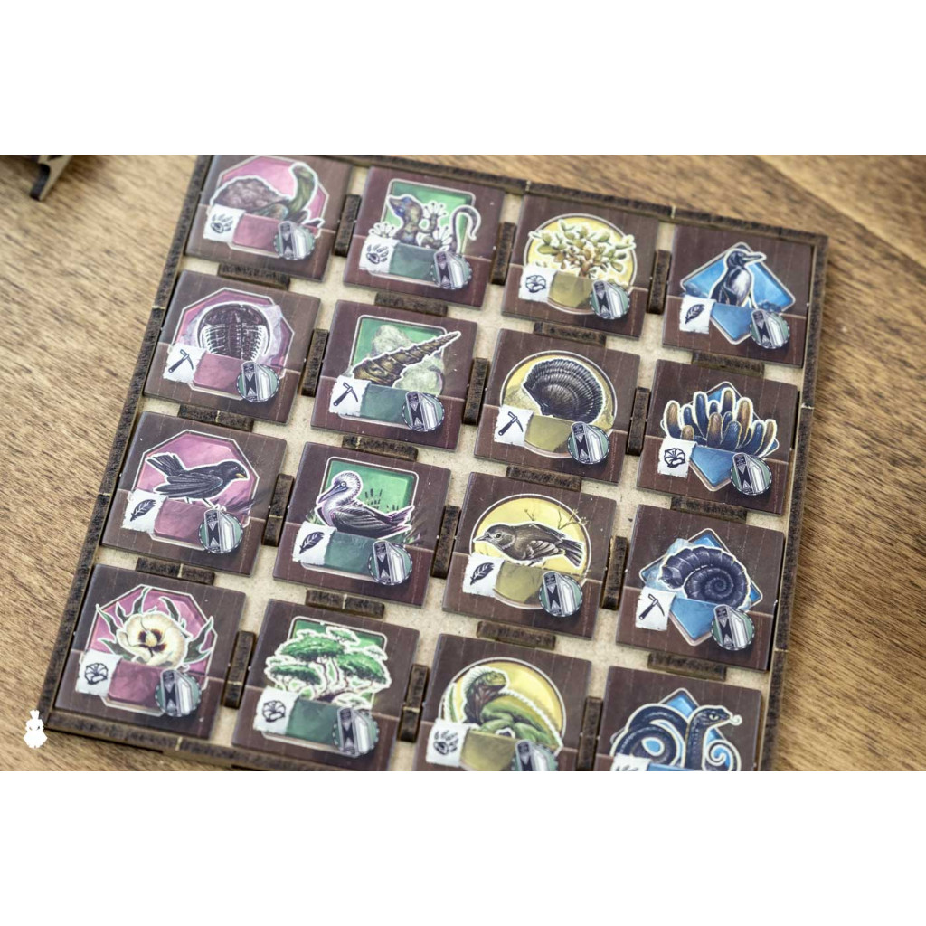 Rangement pour Boîte Dicetroyers - Darwin's Journey