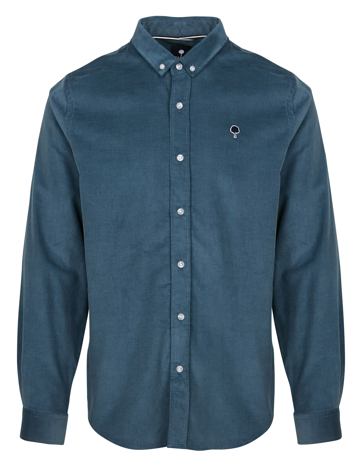 IVOY - Chemise droite col boutonné en velours de coton côtelé | Bleu