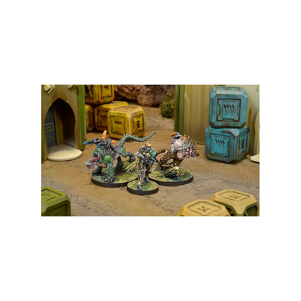 Infinity - Tohaa - Kerail Preceptors