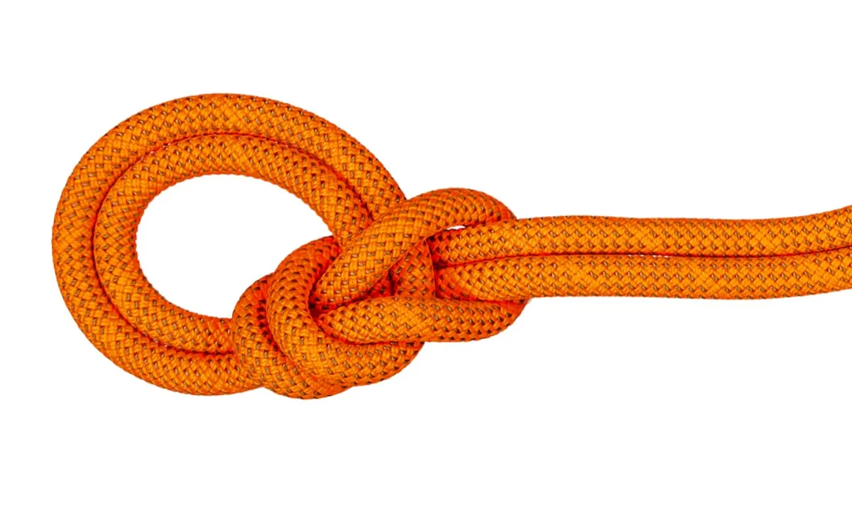Mammut 9.8 Crag Dry Rope Dry Standard, 80m Safety Orange-Boa