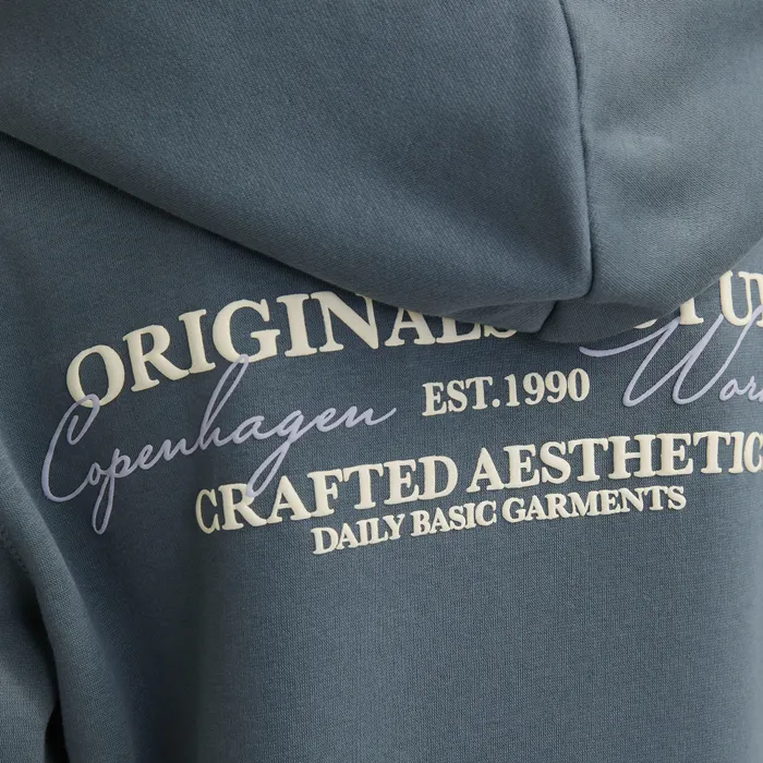 Jack & Jones Joris Lington Hoodie Junior