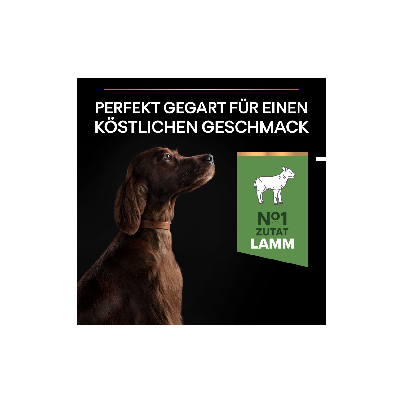 PRO PLAN Adult Large Athletic Sensitive Digestion 14kg
