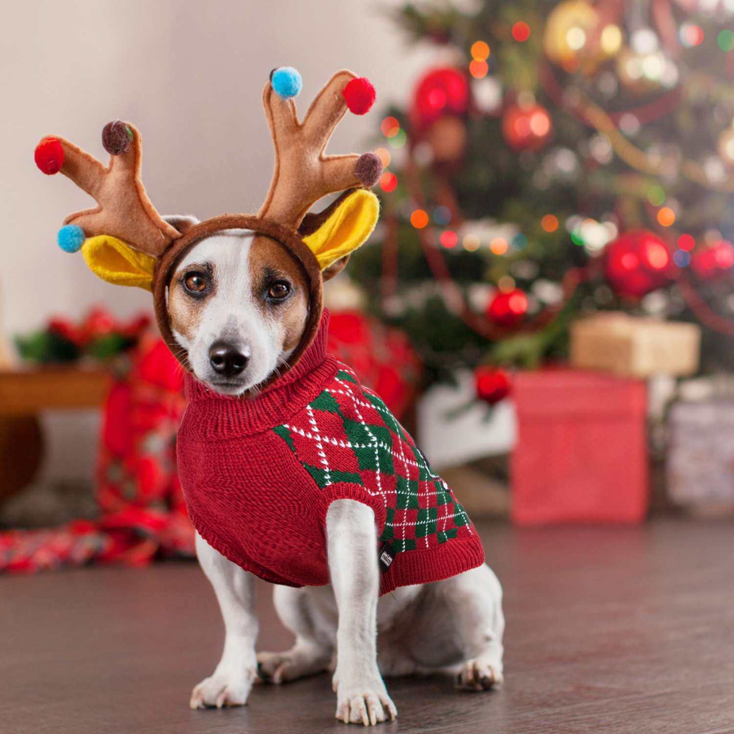 Nobleza - Suéteres de Natal para Cães e Gatinhos, Suéter de Natal para Animais de Estimação, Suéter para Cães e Gatinhos, Roupas Quentes de Inverno Adequadas para Cães de Pequeno e Médio Porte (Vermelho, tamanho P)