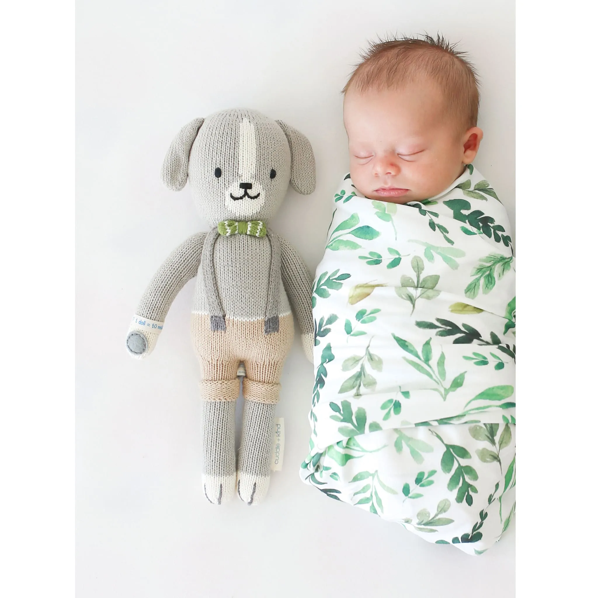 Cuddle and Kind Mini Noah le Chien 13