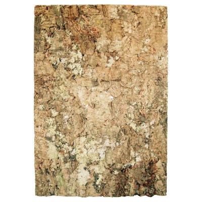 Brämswig Zierkorkrückwand Virgin 90x60cm