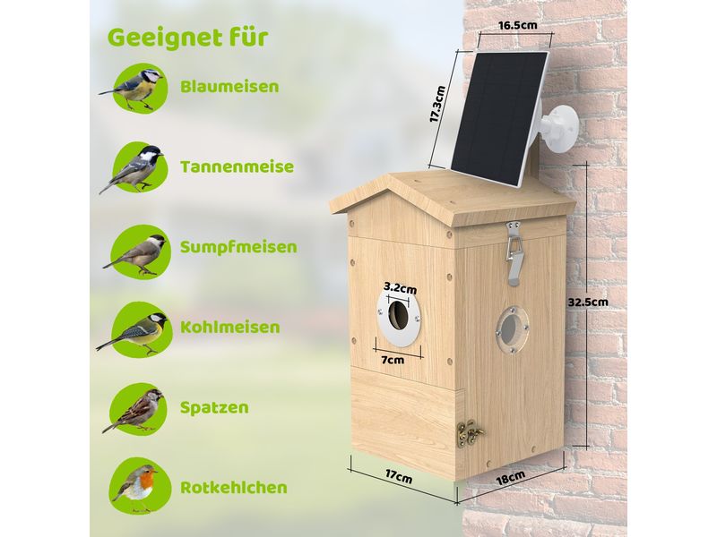 Sanilu Vogel Nistkasten mit Kamera, Solarpanel inklusive Nistkasten aus Holz mit Sonnenkollektor