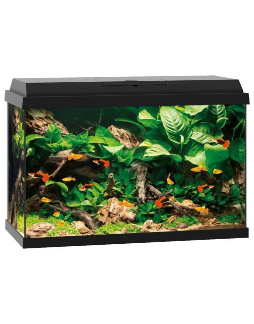Juwel Aquarium Primo 70 61x31x44 cm - Aquaria
