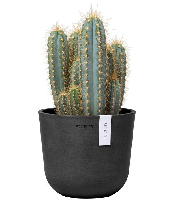 Ecopots Kunststoff-Topf Oslo Mini, rund