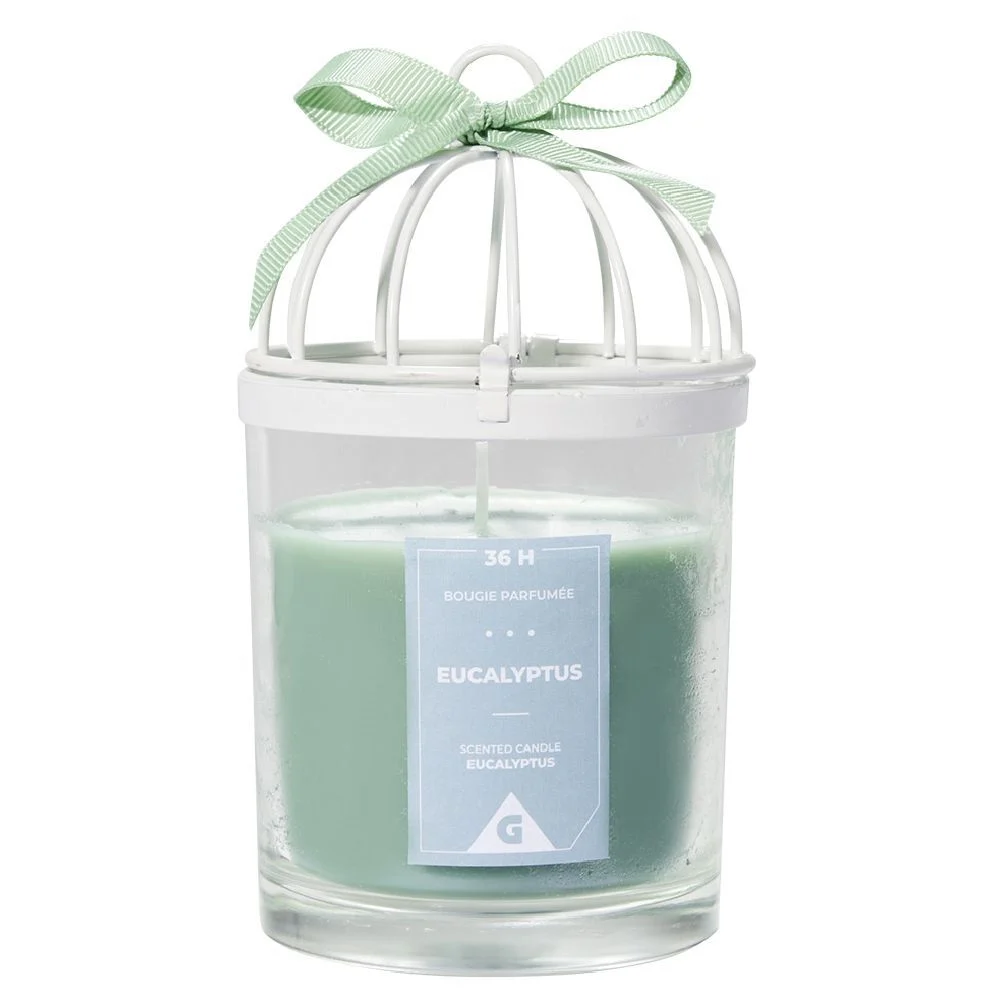 Bougie parfumée cage à oiseau senteur eucalyptus 36H