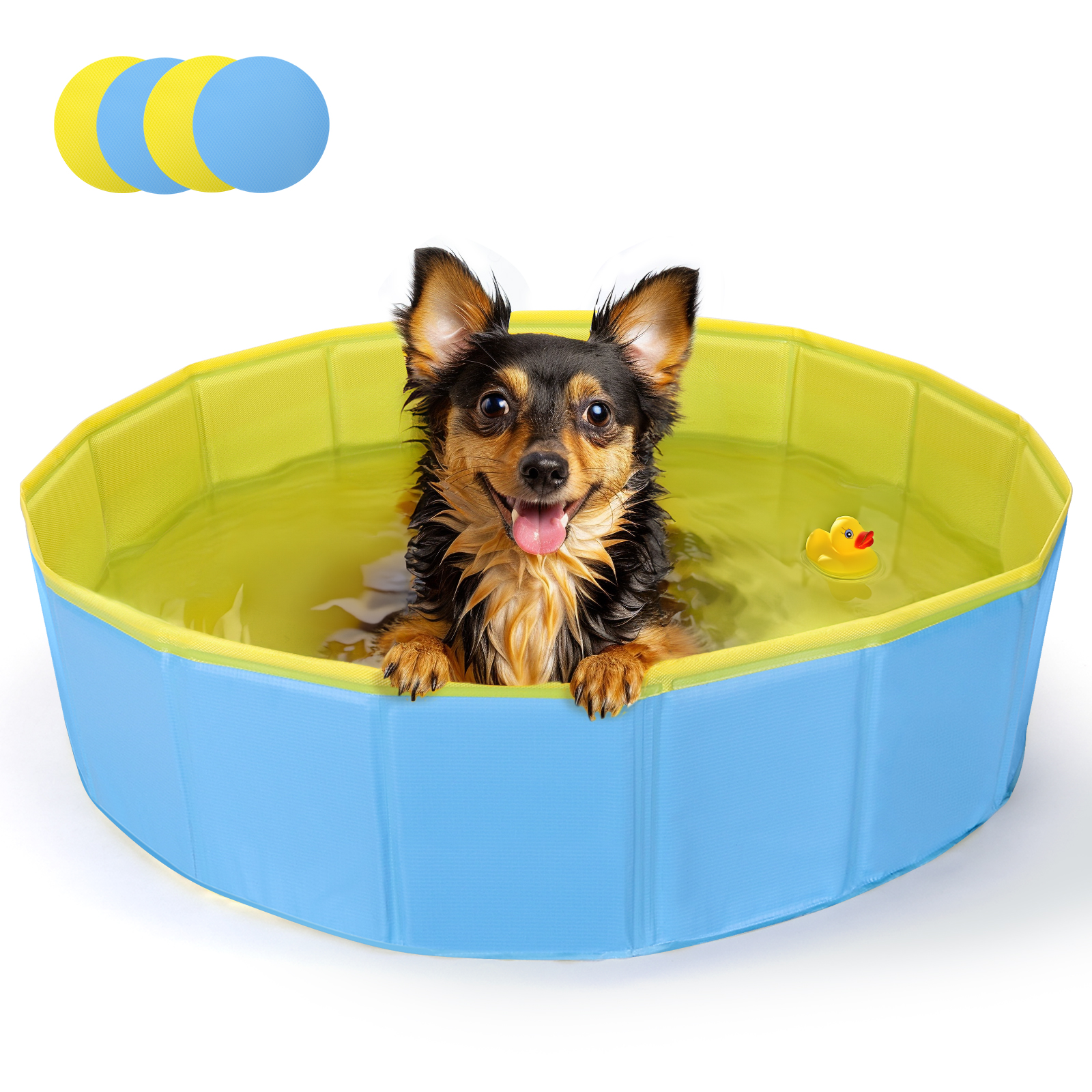 Piscina Nobleza para cães de grande e pequeno porte, banheira dobrável rígida antiderrapante para animais de estimação.