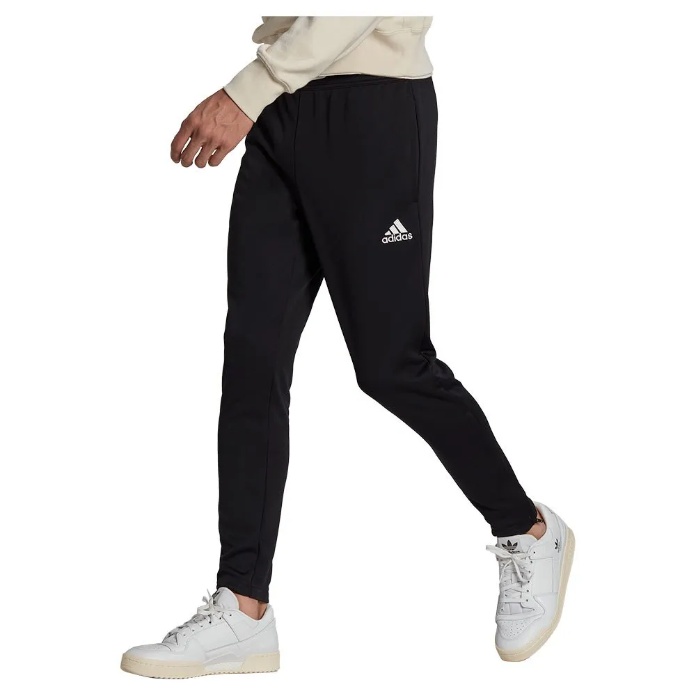 adidas Entrada 22 hosen