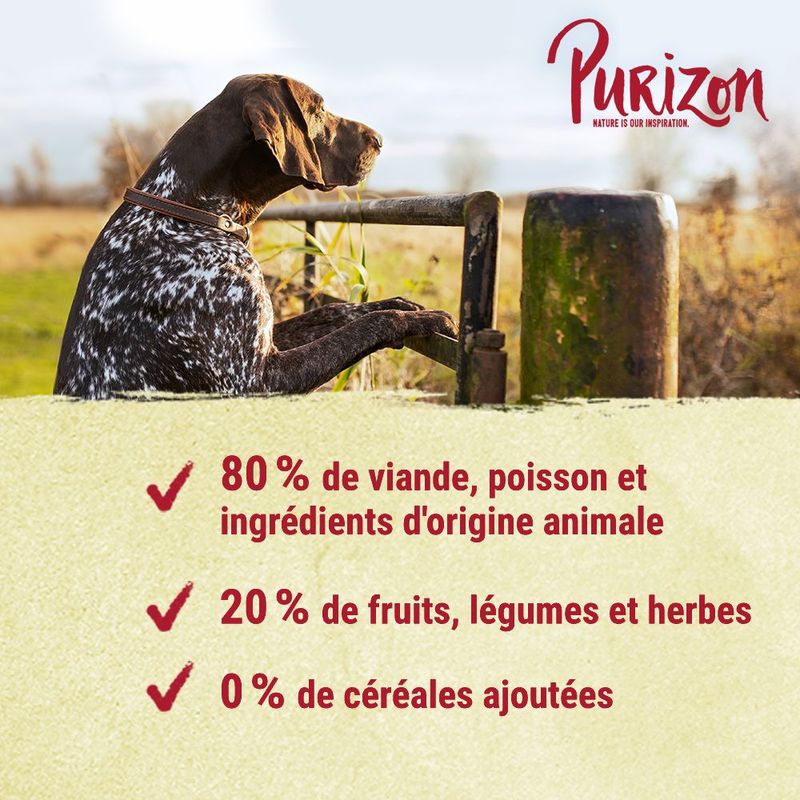 Purizon Adult poisson - sans céréales