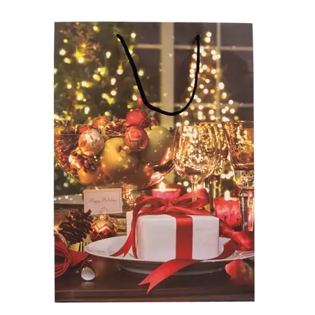 Idena Geschenktasche WH, matt 16x11x6cm FSC-Mix, 1 Stück, 5-fach sortiert