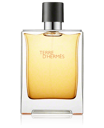 Hermès Terre d'Hermès parfum vapo 200ml