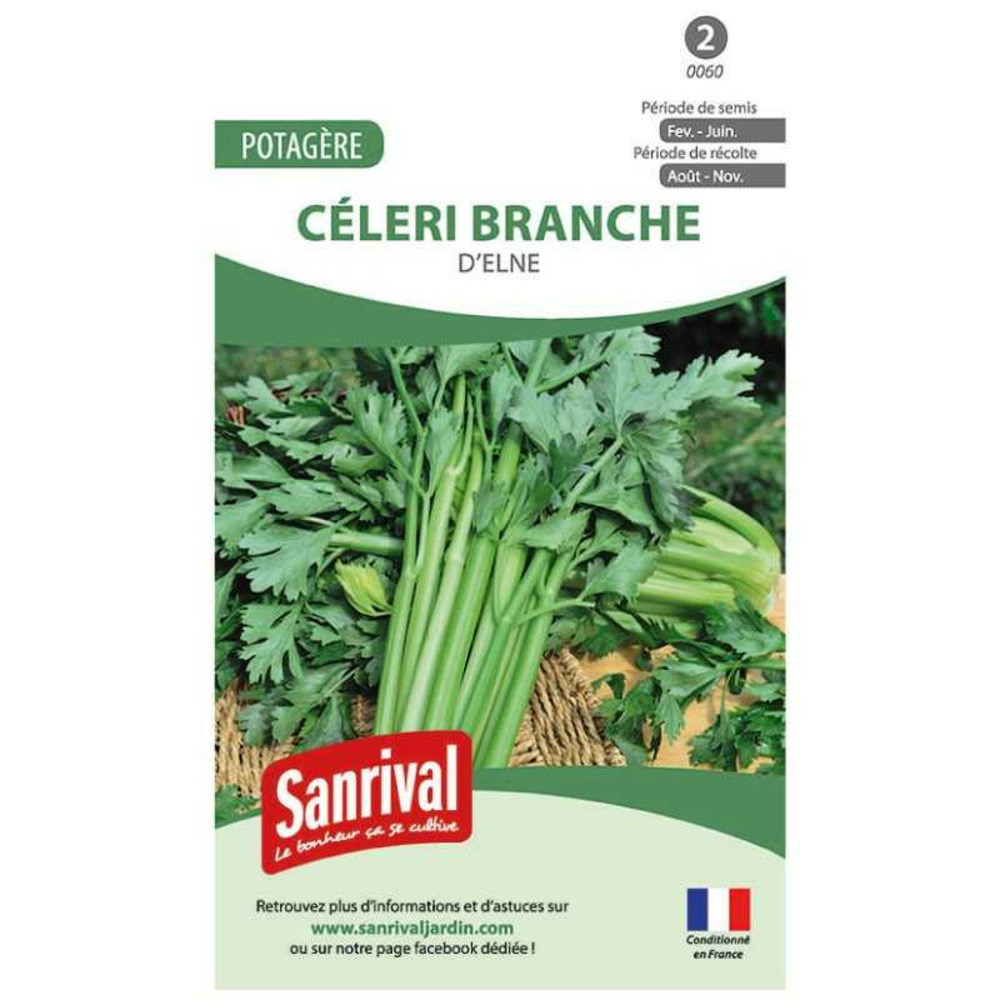 Graines céleri branche elne