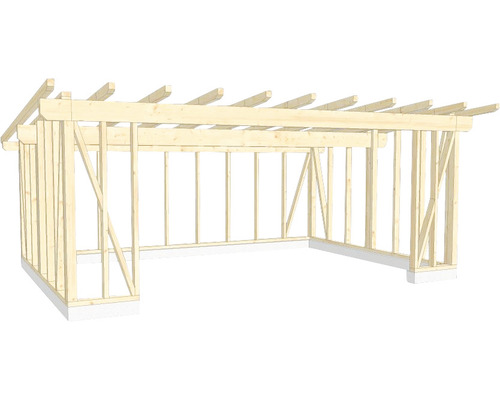Houtskeletbouw, lessenaarsdak 500x700 cm