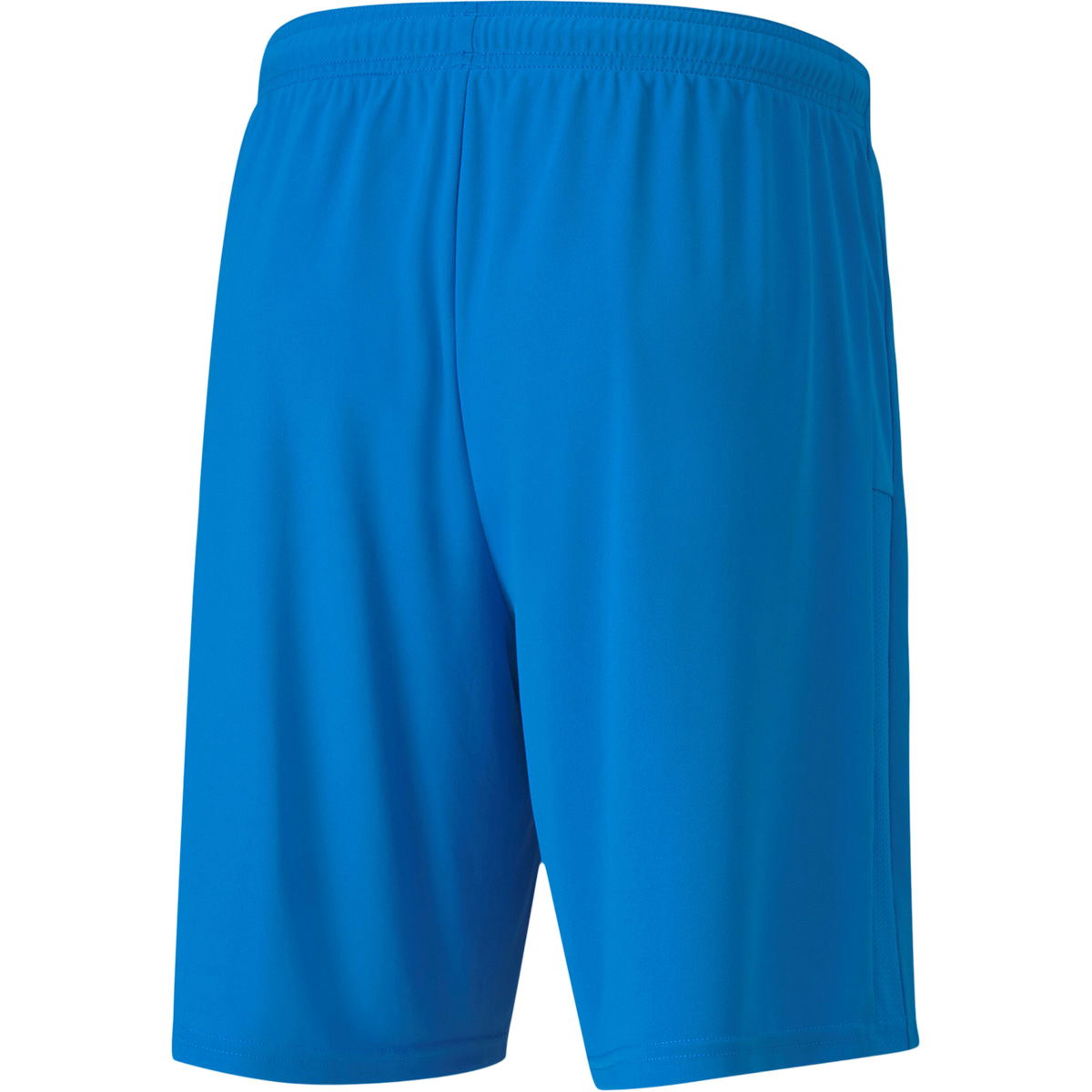 Puma teamGOAL 23 Knit Træningsshorts Herre