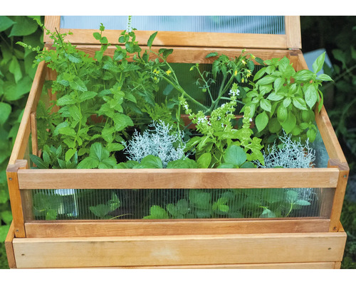 dobar Kubus kweekbak 76 x 56 x 28 cm lichtbruin
