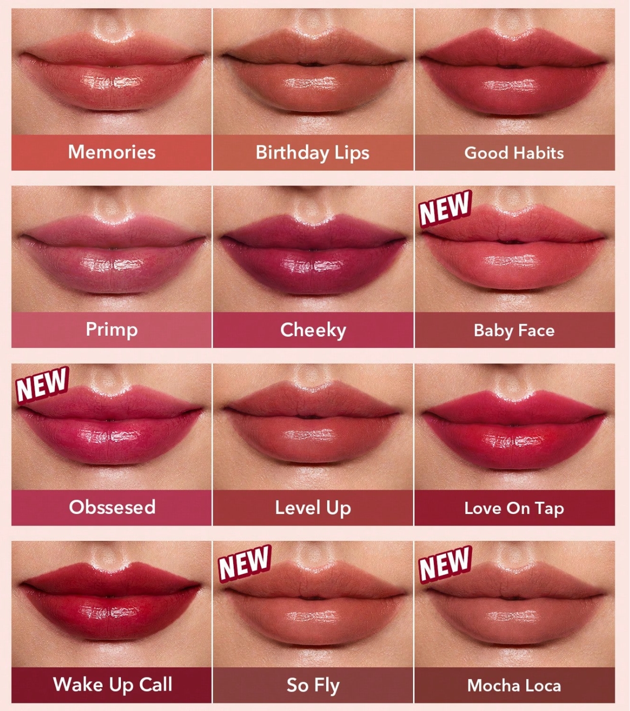 SHEGLAM - Tinta Labial Take a Hint - Level Up