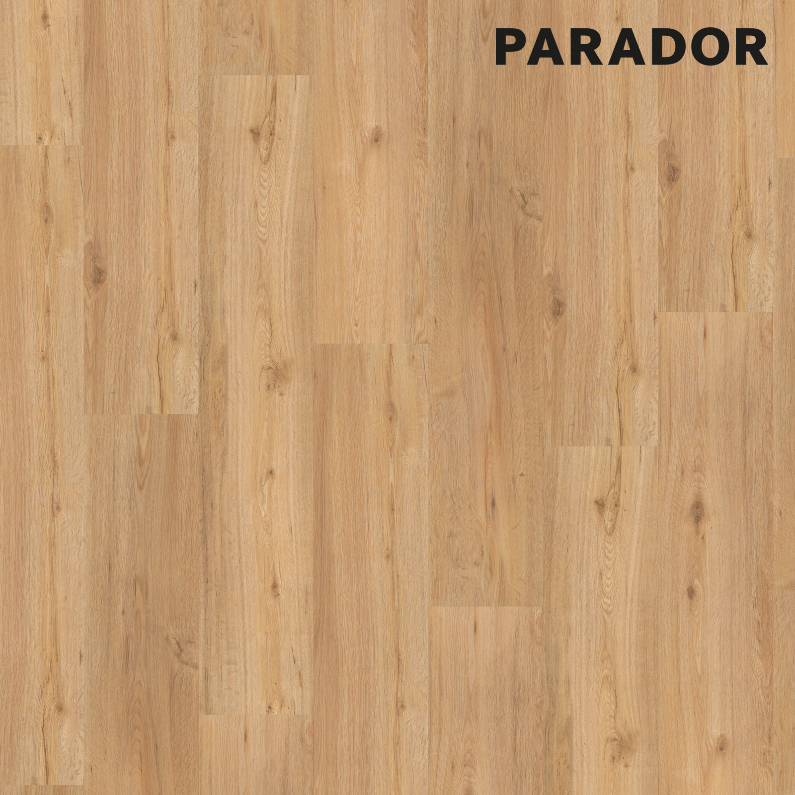 PARADOR Click-Vinyl BASIC 30 - Eiche natur gebürstet - 9,4 mm