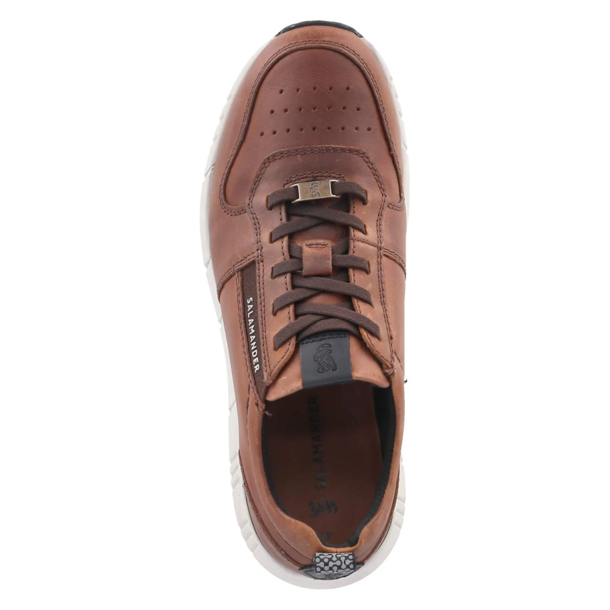 SalamanderLow Sneaker - Dark Brown
