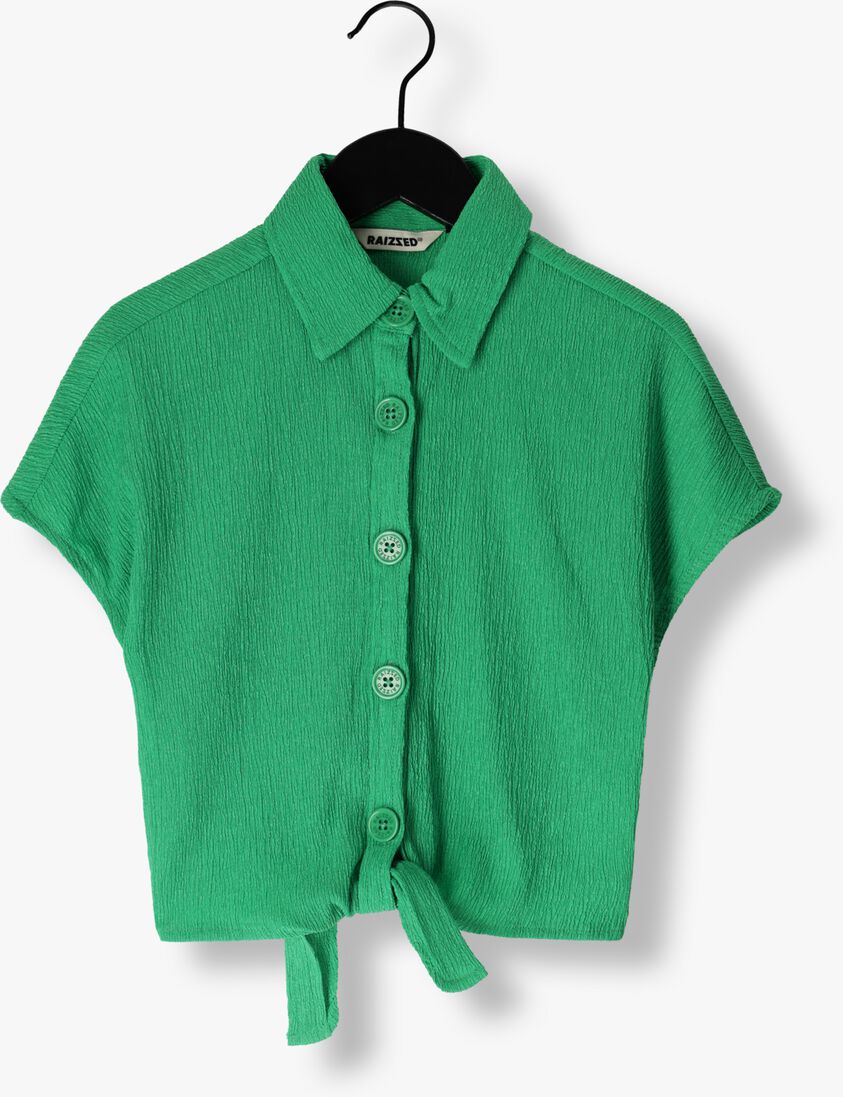 RAIZZED groene raizzed blouse telsa