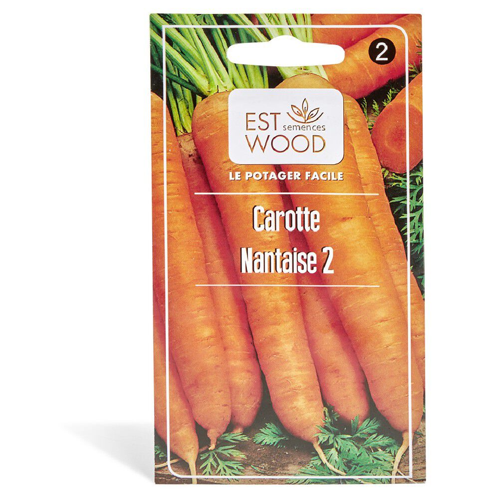 Semence de carotte nantaise 2