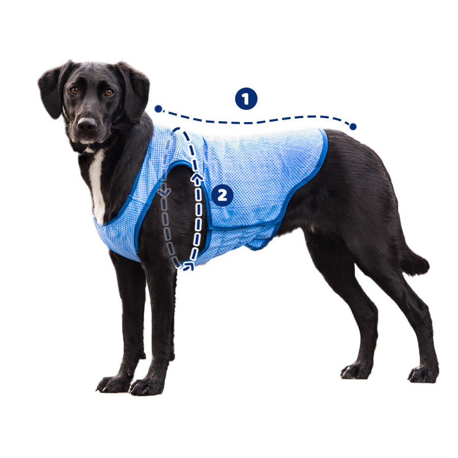Colete refrescante GF Pet ElastoFit Ice para cães