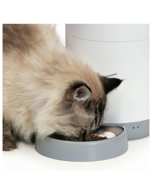 Catit Pixi Smart Feeder - Kattenvoerbak - 19x19x34 cm Wit