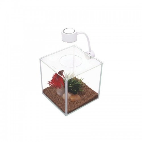 Marina betta kit cubus transparente