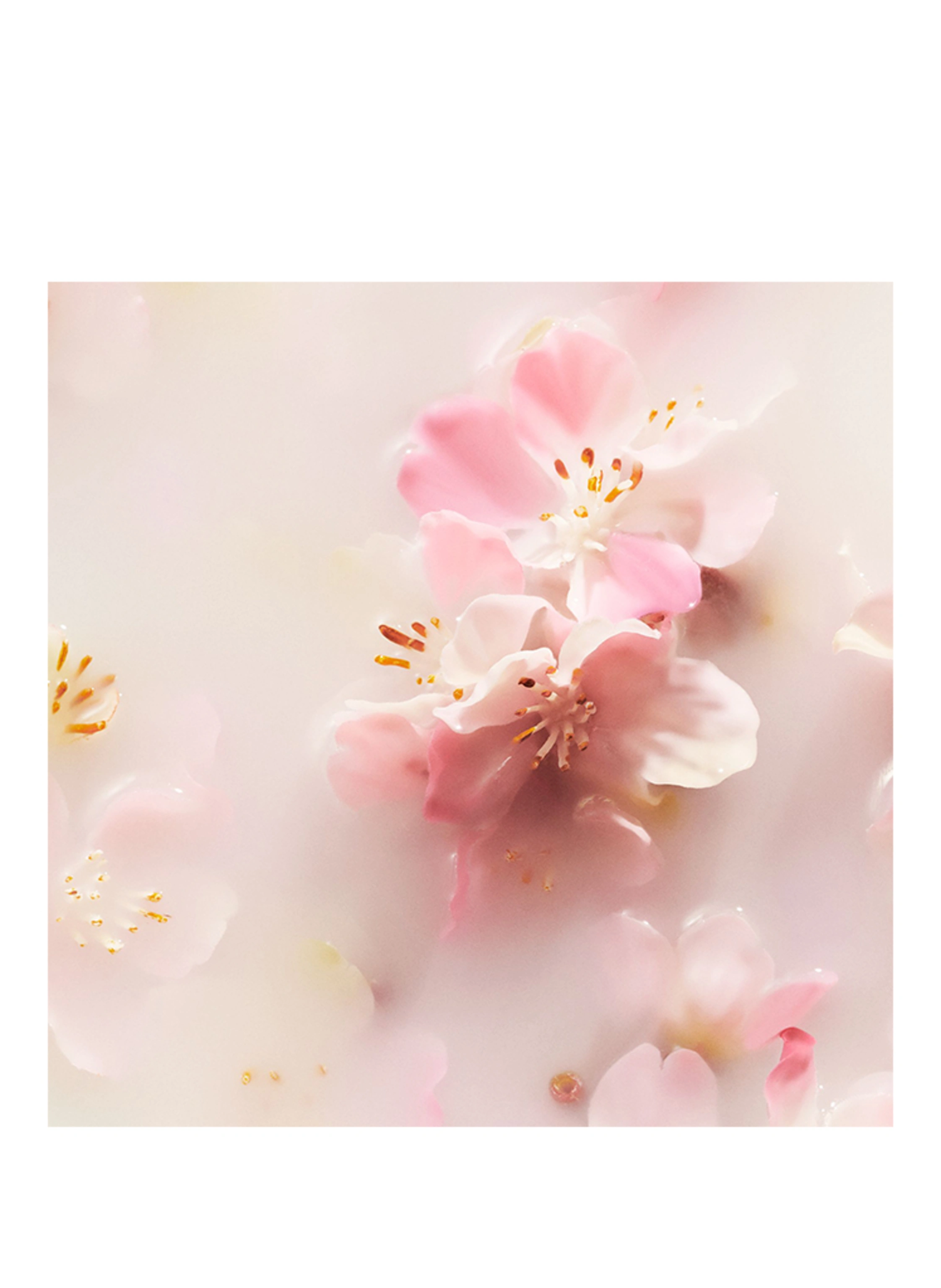 RITUALS THE RITUAL OF SAKURA