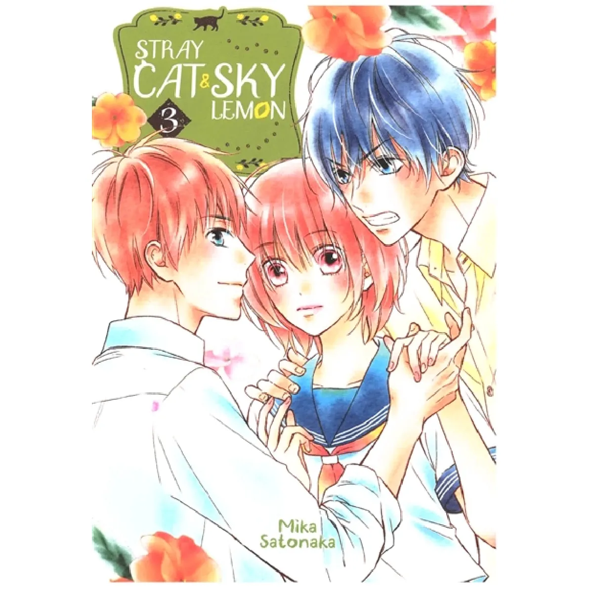 Stray cat & sky lemon. Vol. 3 · Occasion