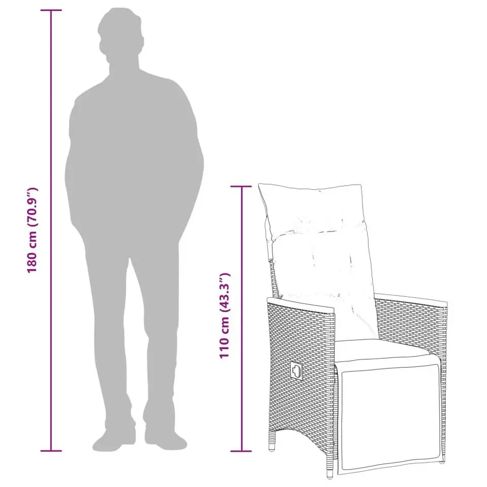 vidaXL - Tuinstoel - Zwart - Poly rattan