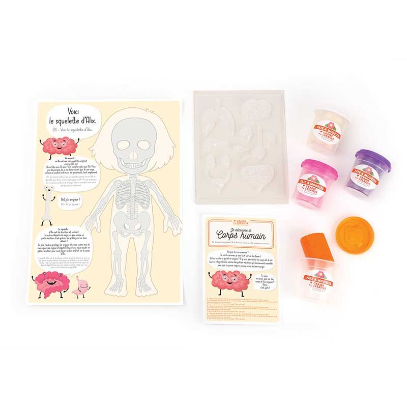 Coffret découverte du corps humain - kit de moulage éducatif