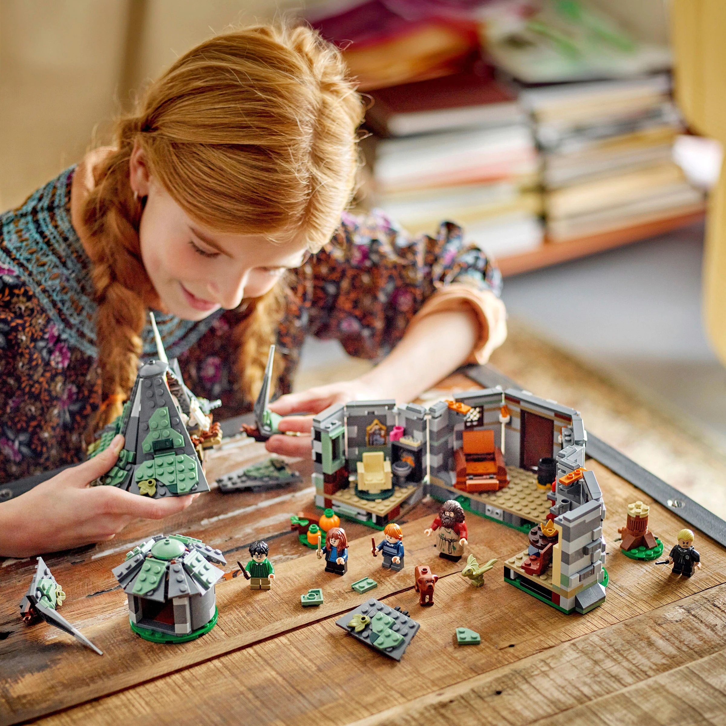 LEGO® - Harry Potter™ 76428 Hagrids Hütte: Ein unerwarteter Besuch