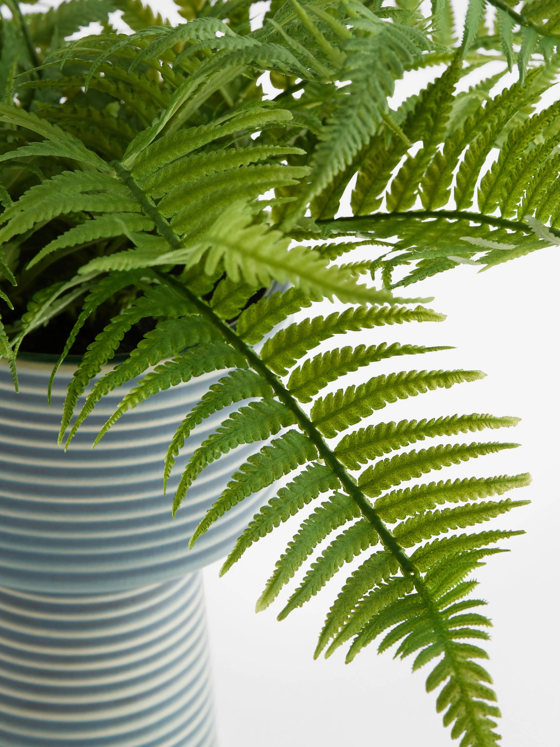 Artificial Fern in Ribbed Glaze Pot