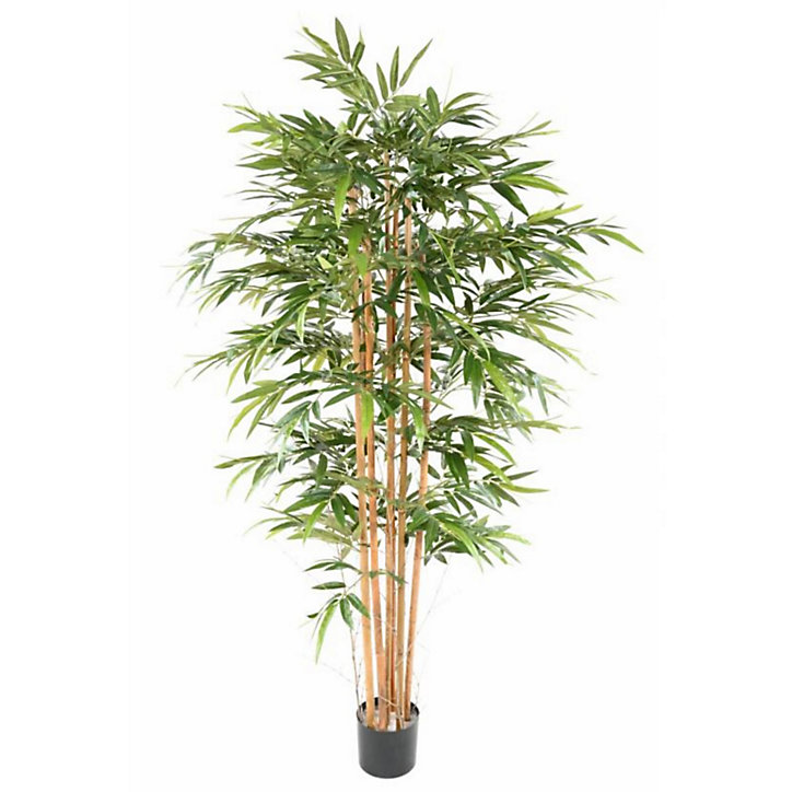 Bambou éco artificiel h.200/210 cm