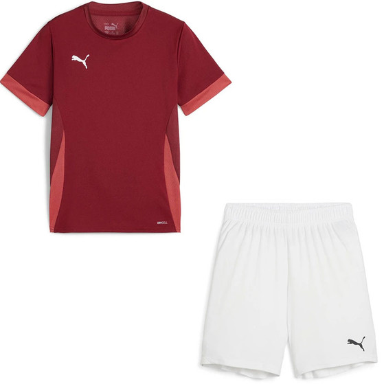 Puma GOAL Trainingsset