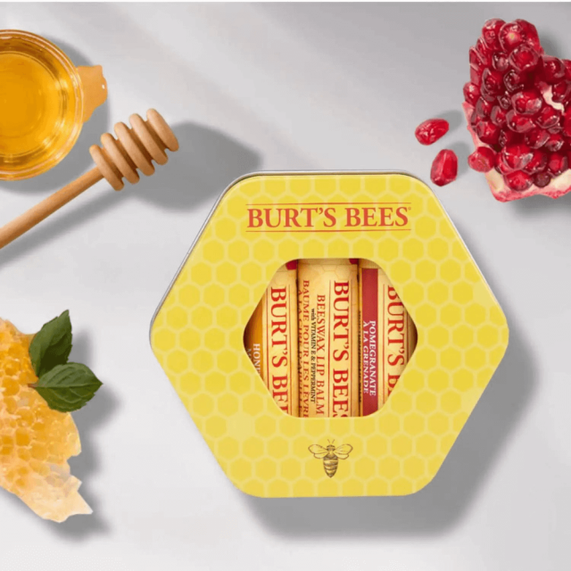 Baume Lèvres Trio Soins BURT'S BEES