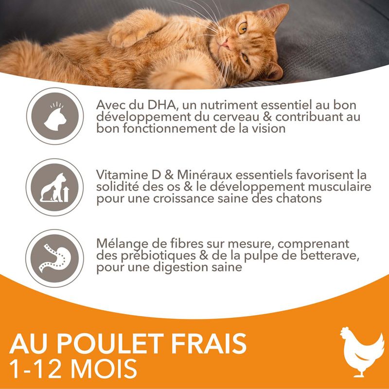 IAMS Advanced Nutrition Kitten poulet pour chaton à prix discount sur bitiba.fr