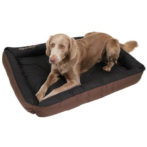 Cama retangular para cães Oxford Place, marrom
