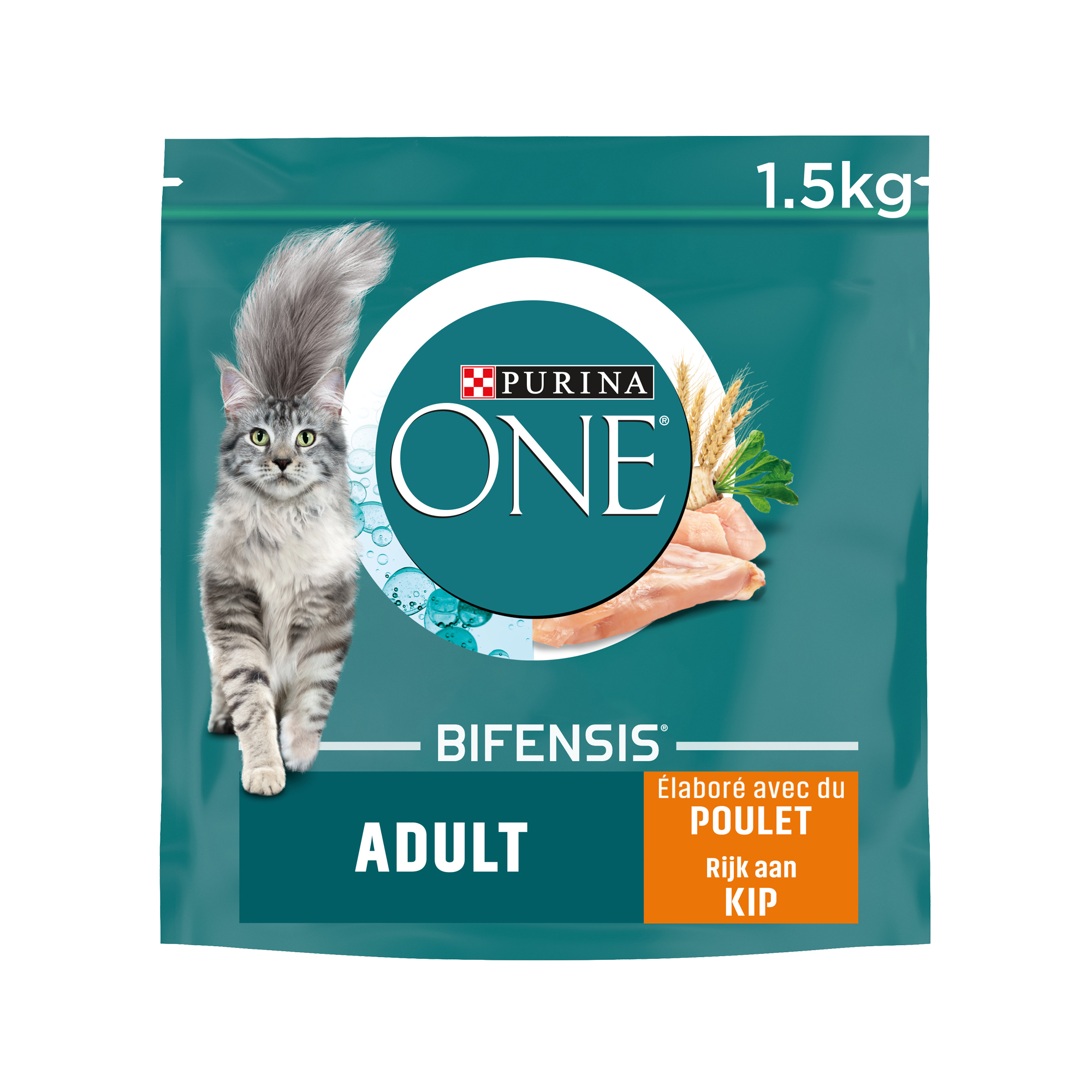 Purina ONE Adult