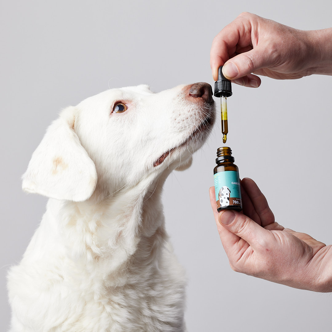 Óleo de petidibidiol para cães de porte médio 700 mg