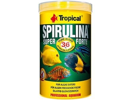 Tropical Super Spirulina Forte, Akvariefisk, Tørr fiskemat, Flak, Vitamin A, Vitamin C, Vitamin D3, Vitamin E, Kopper, Jod, Strykejern, Mangan, Zink,